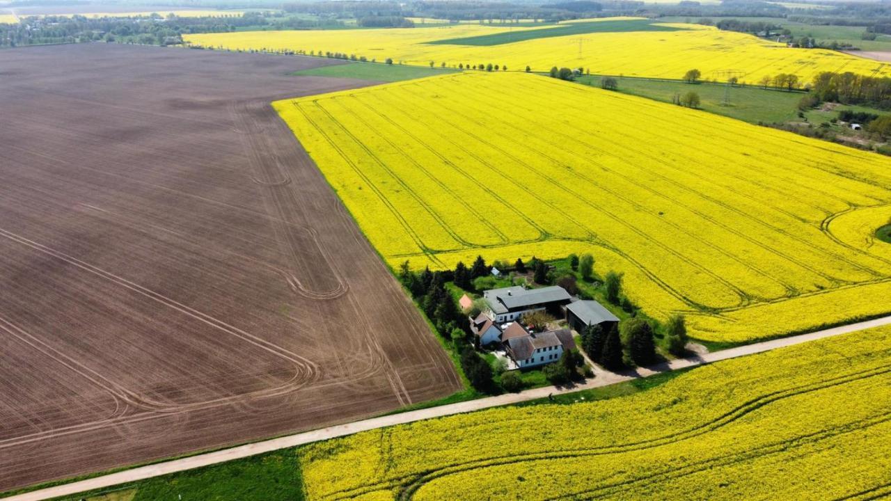 Ein Bett Im Kornfeld - Haus Morgensonne - Mit Innenpool Schonfeld  Экстерьер фото